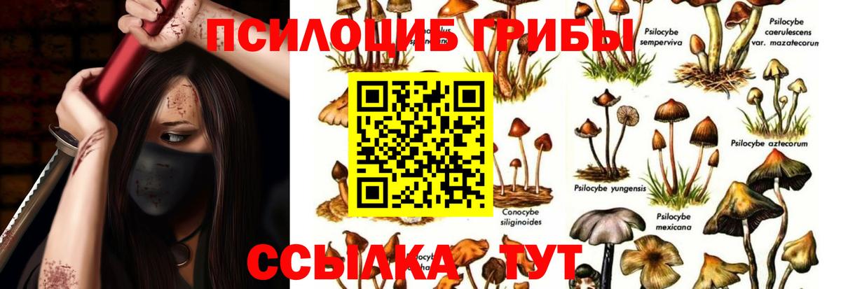 Псилоцибиновые грибы прущие грибы Владимир